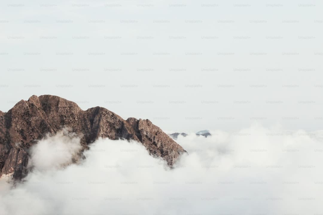 租金上涨后下一步是房价飙升?美国洛杉矶山火陷地产“阴谋论”